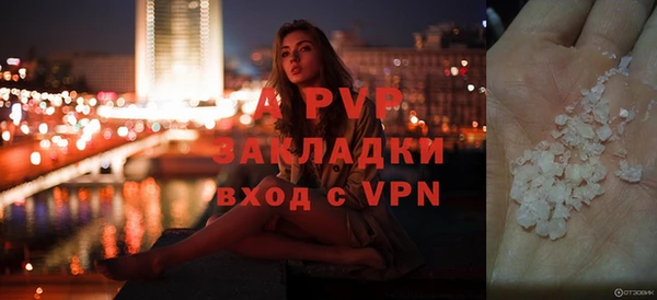 эйфоретик Иннополис